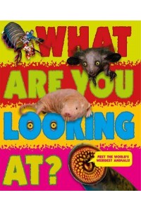 What Are You Looking At?