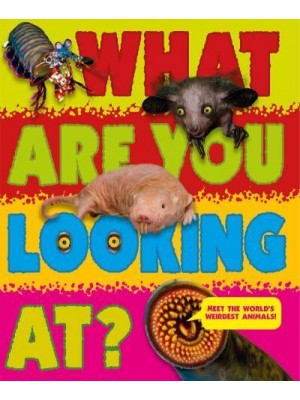 What Are You Looking At?