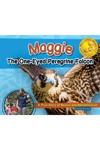 Maggie the One-Eyed Peregrine Falcon A True Story of Rescue and Rehabilitation - Wildlife Rescue Stories