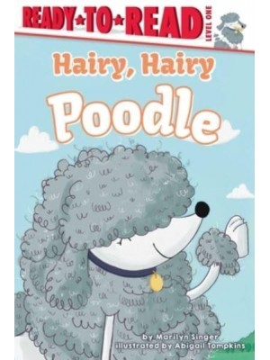 Hairy, Hairy Poodle