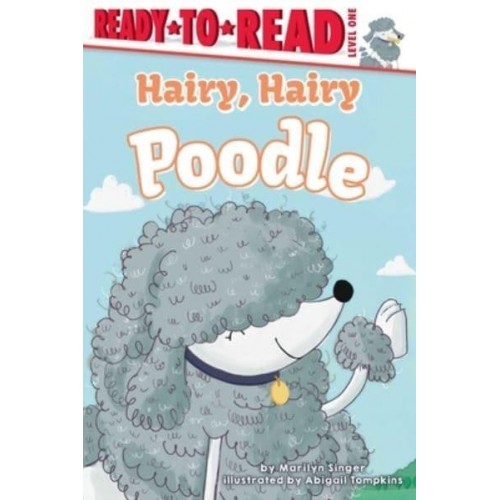 Hairy, Hairy Poodle