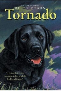 Tornado - Trophy Chapter Books (Paperback)