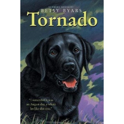 Tornado - Trophy Chapter Books (Paperback)