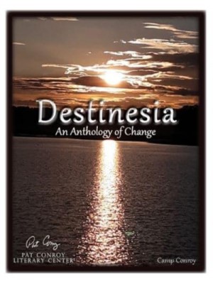 Destinesia An Anthology of Change