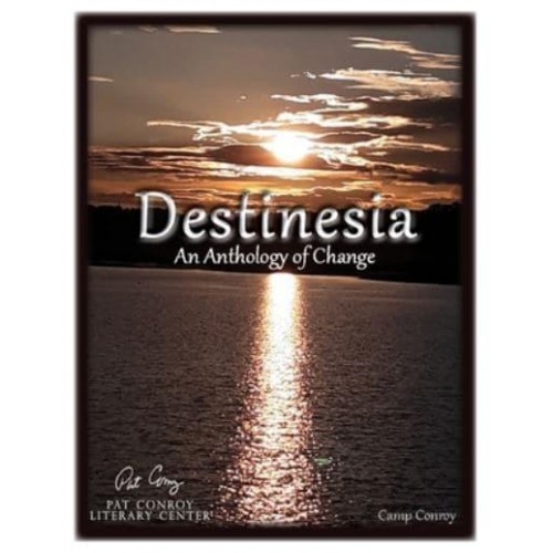Destinesia An Anthology of Change