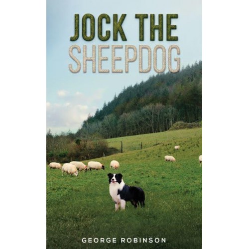 Jock the Sheepdog