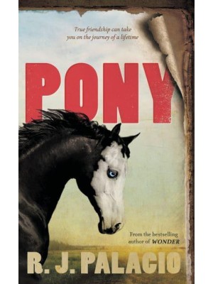 Pony
