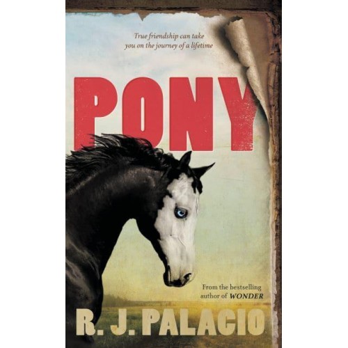 Pony