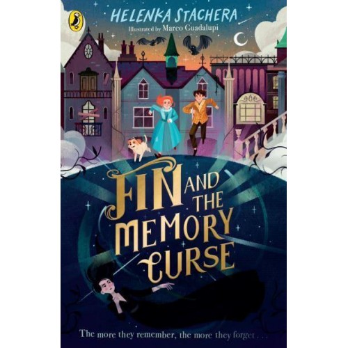 Fin and the Memory Curse