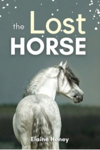 The Lost Horse Book 6 in the Connemara Horse Adventure Series for Kids