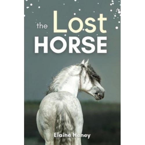 The Lost Horse Book 6 in the Connemara Horse Adventure Series for Kids