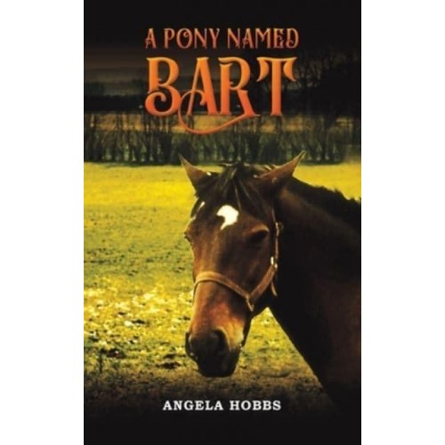 A Pony Named Bart