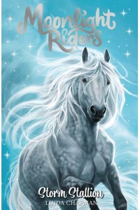 Storm Stallion - Moonlight Riders