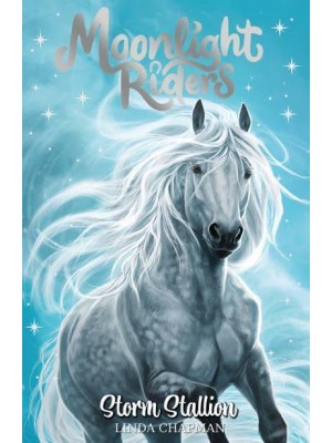 Storm Stallion - Moonlight Riders