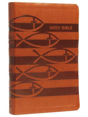 The Holy Bible International Children's Bible