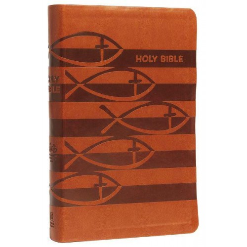 The Holy Bible International Children's Bible