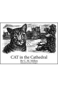 CAT in the Cathedral