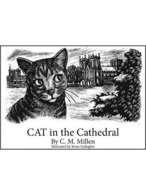 CAT in the Cathedral