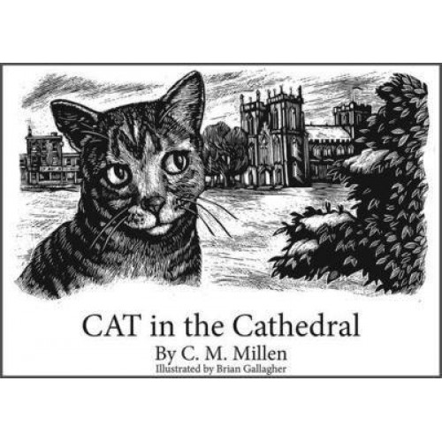 CAT in the Cathedral