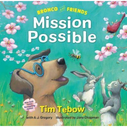 Mission Possible - Bronco and Friends