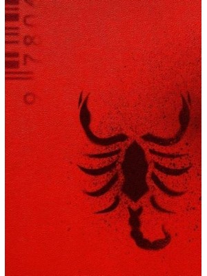The House of the Scorpion - The House of the Scorpion Duology;