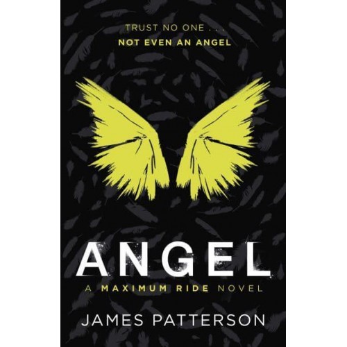 Angel - Maximum Ride Series