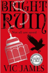 Bright Ruin - The Dark Gifts Trilogy