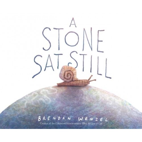 A Stone Sat Still