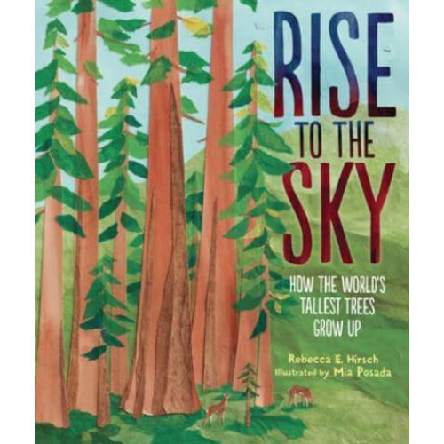 Rise to the Sky How the World's Tallest Trees Grow Up