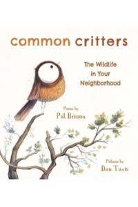 Common Critters The Wildlife in Your Neighborhood