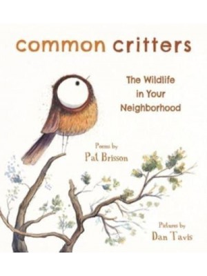 Common Critters The Wildlife in Your Neighborhood