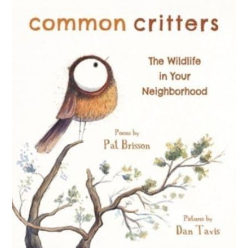 Common Critters The Wildlife in Your Neighborhood