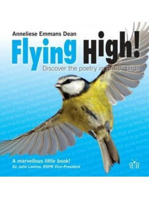 Flying High! Discover the Poetry in British Birds