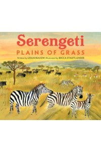 Serengeti Plains of Grass
