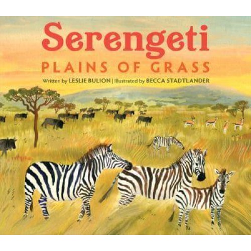 Serengeti Plains of Grass