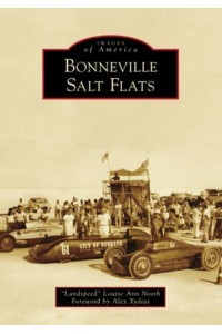 Bonneville Salt Flats - Images of America