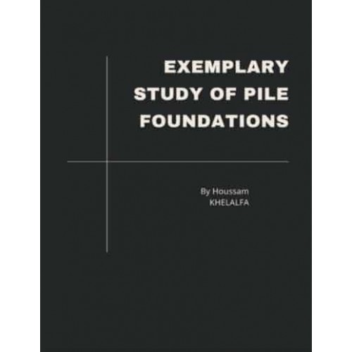 Exemplary Study of Pile Foundations