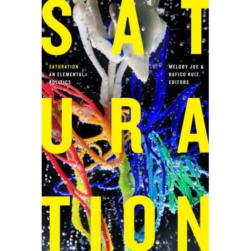 Saturation An Elemental Politics - Elements