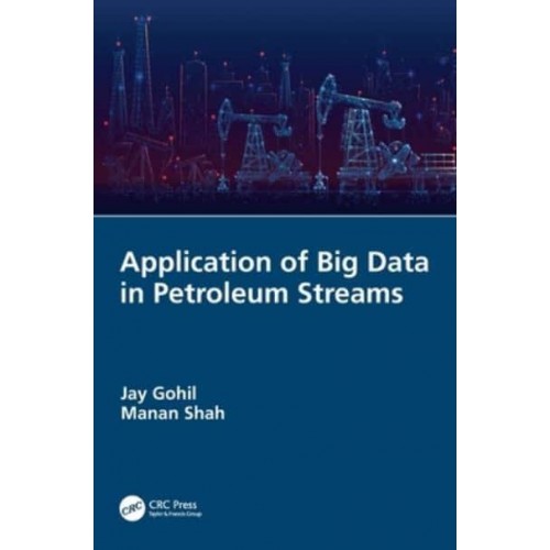 Application of Big Data in Petroleum Streams