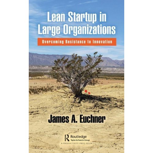 Lean Startup in Large Organizations: Overcoming Resistance to Innovation