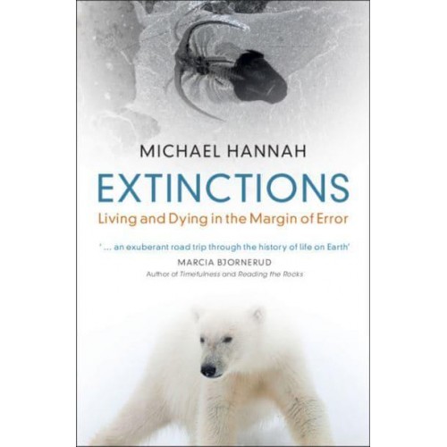Extinctions Living and Dying in the Margin of Error