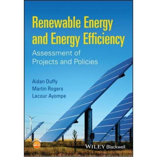 Renewable Energy and Energy Efficiency Assessment of Projects and Policies