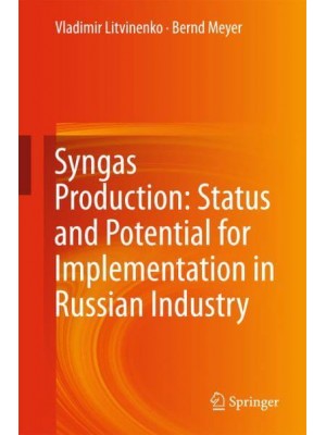 Syngas Production: Status and Potential for Implementation in Russian Industry