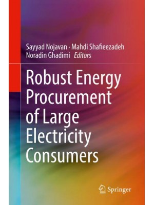 Robust Energy Procurement of Large Electricity Consumers