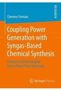 Coupling Power Generation with Syngas-Based Chemical Synthesis : A Process Chain Evaluation from a Power Plant Viewpoint
