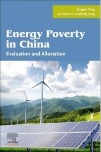 Energy Poverty in China Evaluation and Alleviation