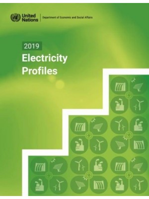2019 Electricity Profiles