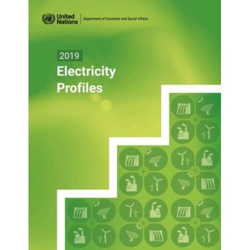 2019 Electricity Profiles