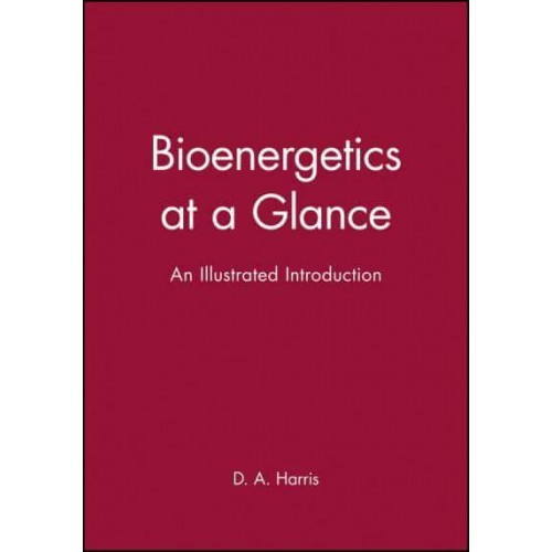 Bioenergetics at a Glance - At a Glance