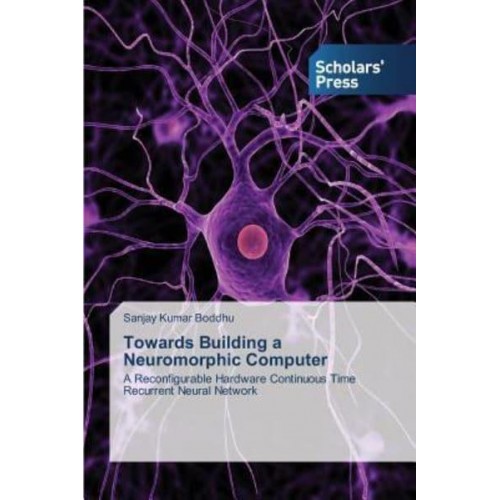 Towards Building a Neuromorphic Computer